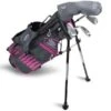 Junior 45" 4 Club Stand Set Right Hand Grey - Pink -Callaway Sale Store US20C1003002 L
